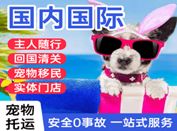 宜昌空运国际宠物托运 【国